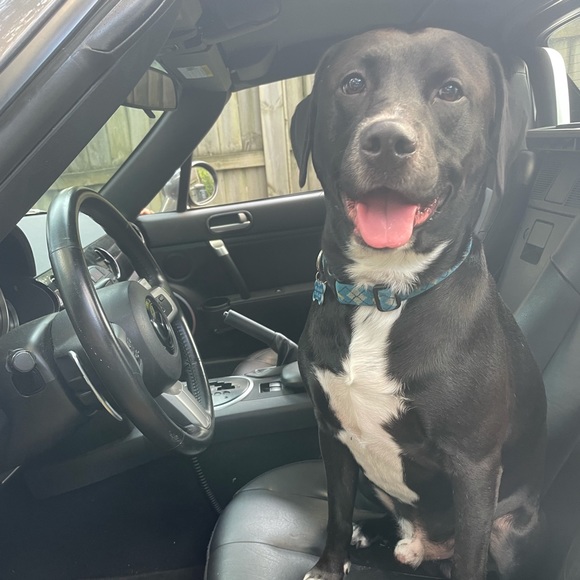 Like/Bundle for EXCLUSIVE offers! - Picture 3 of 3